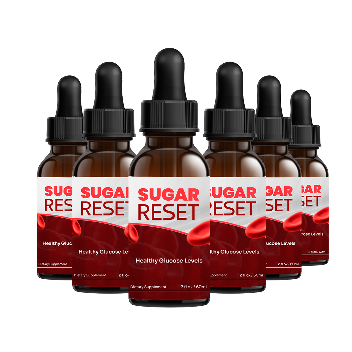 SugarReset® 6 bottle pack — 180-day blood sugar drops supply